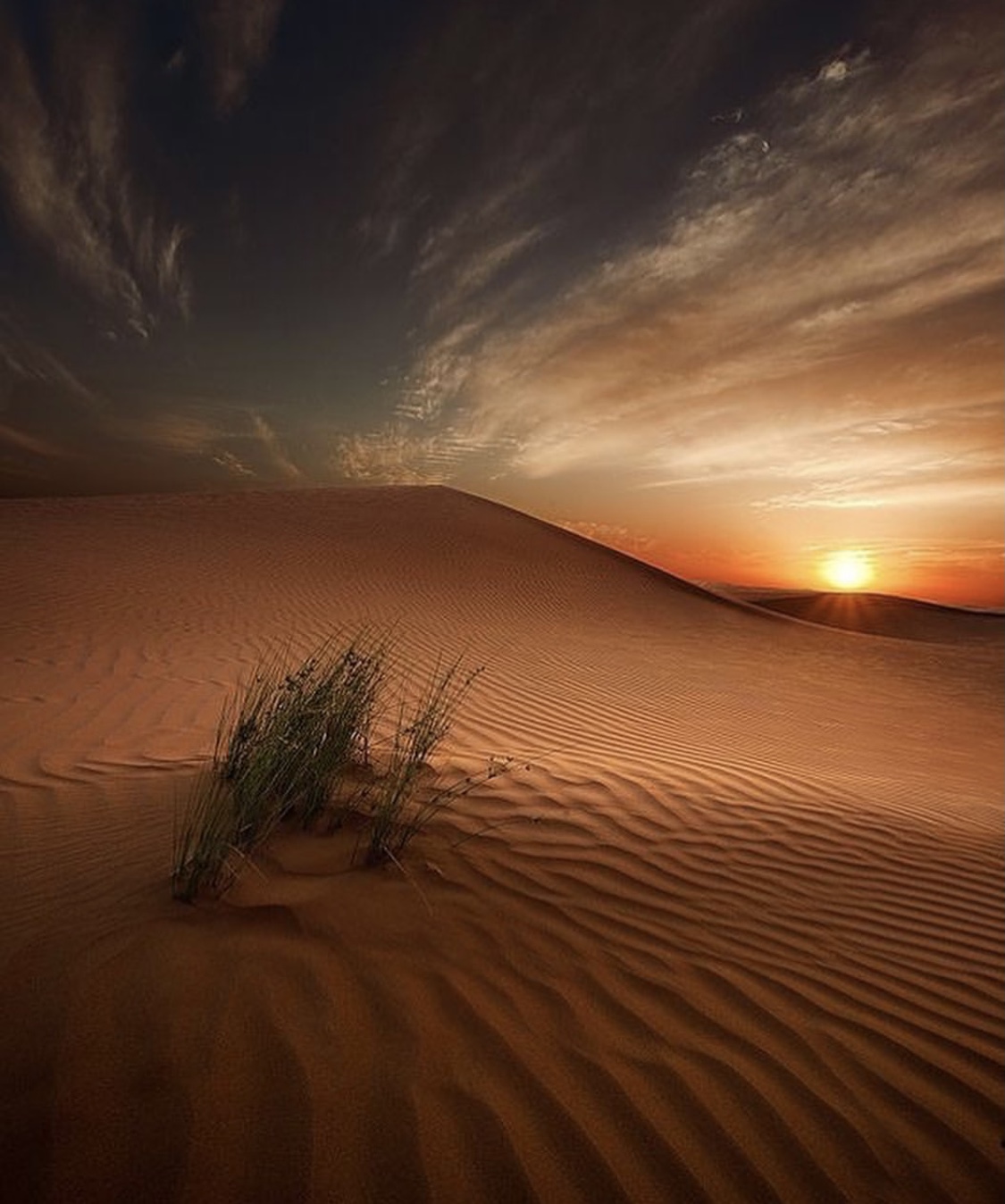 Туры выходного дня в Дагестан  (16/35)