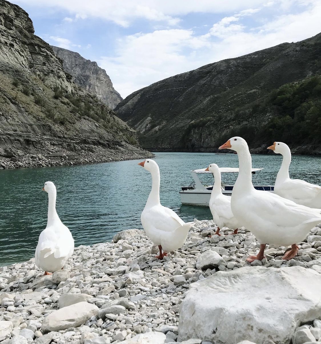 Туры выходного дня в Дагестан  (8/35)