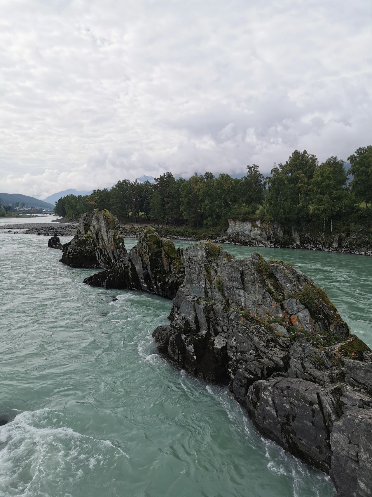 Увидеть Алтай за 5 дней! (29/51)