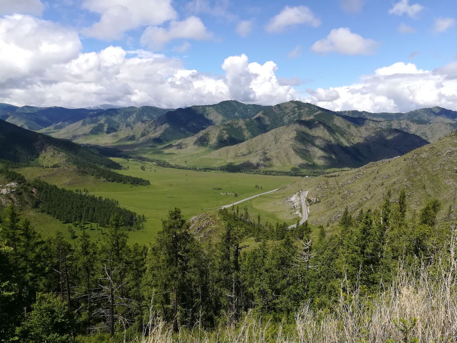 Увидеть Алтай за 5 дней! (7/51)