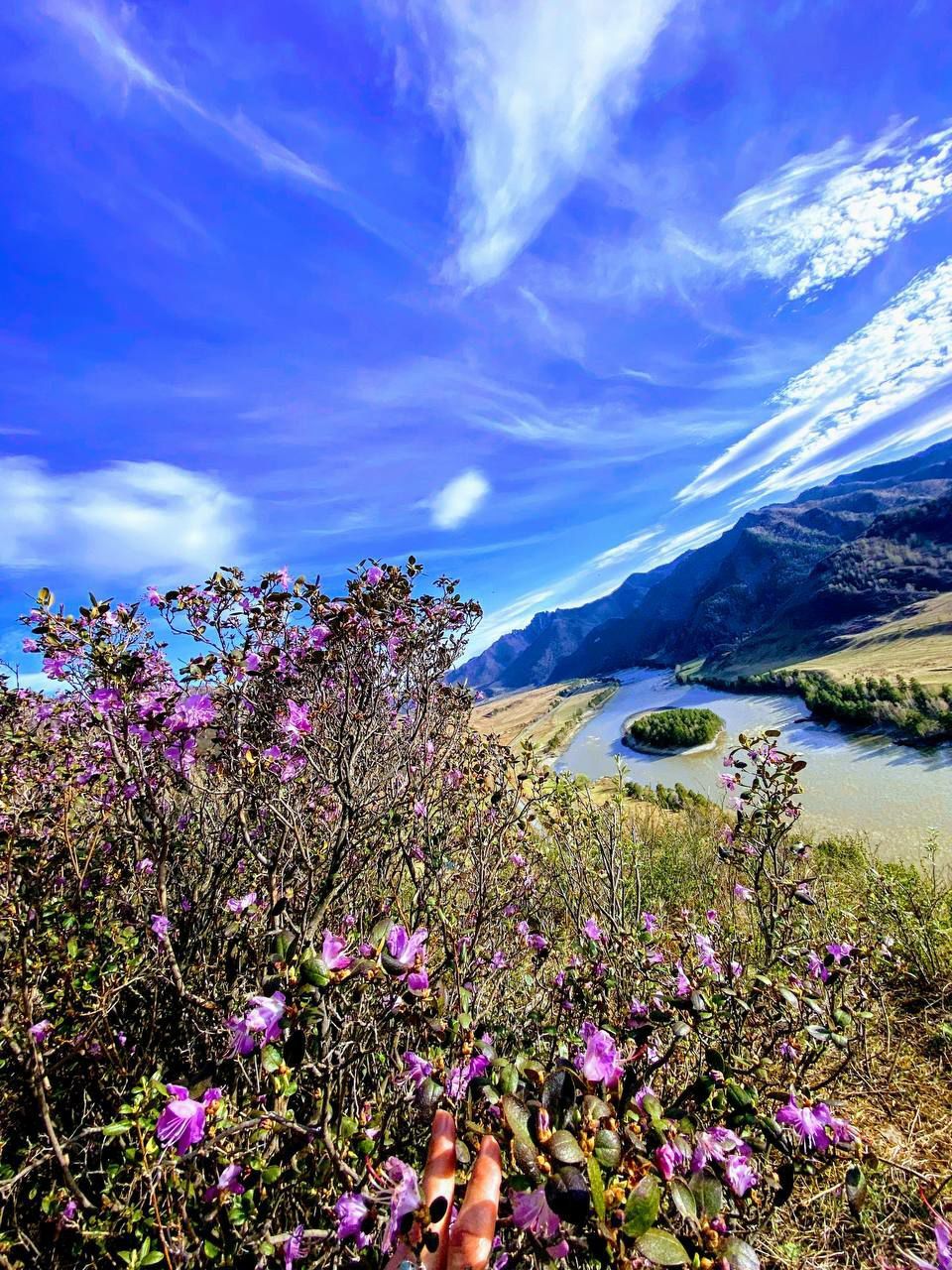 Увидеть Алтай за 5 дней! (18/51)