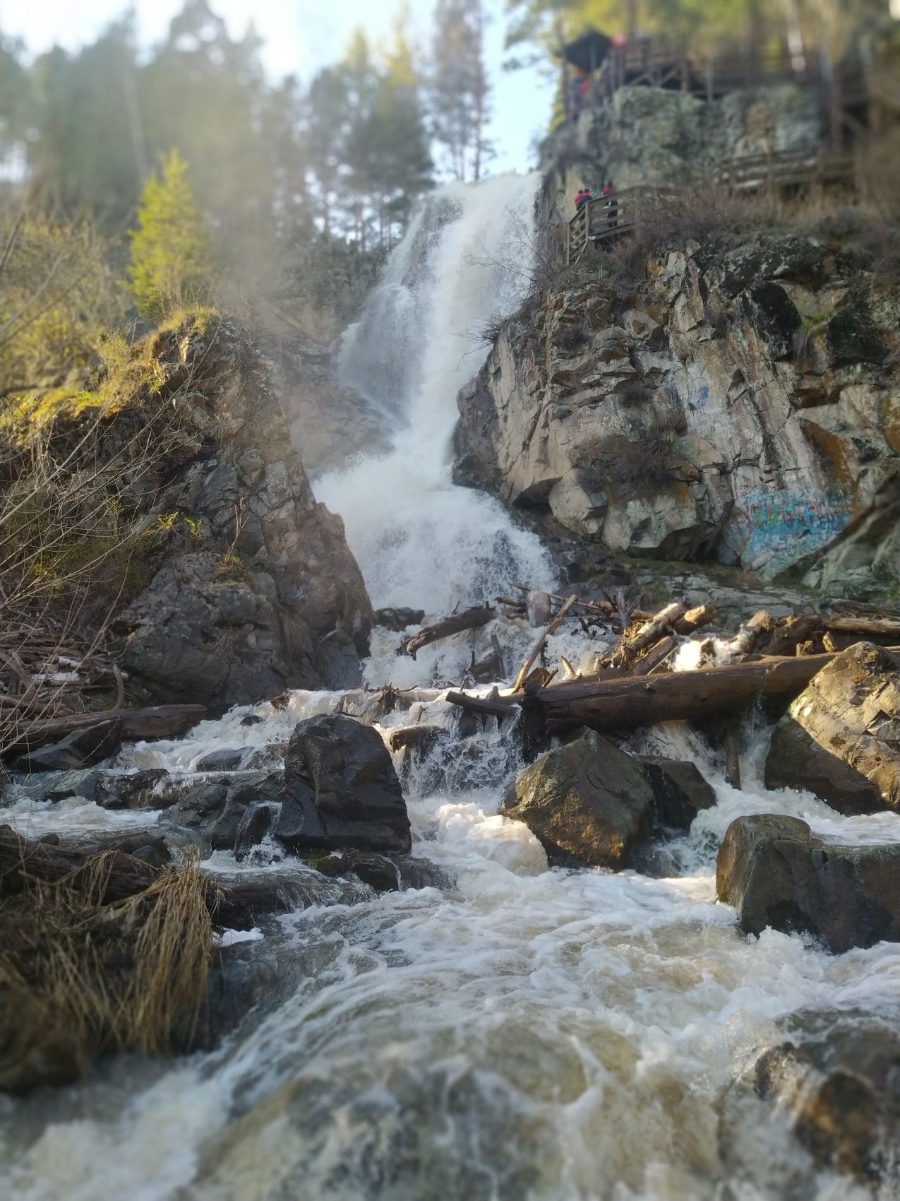 Увидеть Алтай за 5 дней! (17/51)