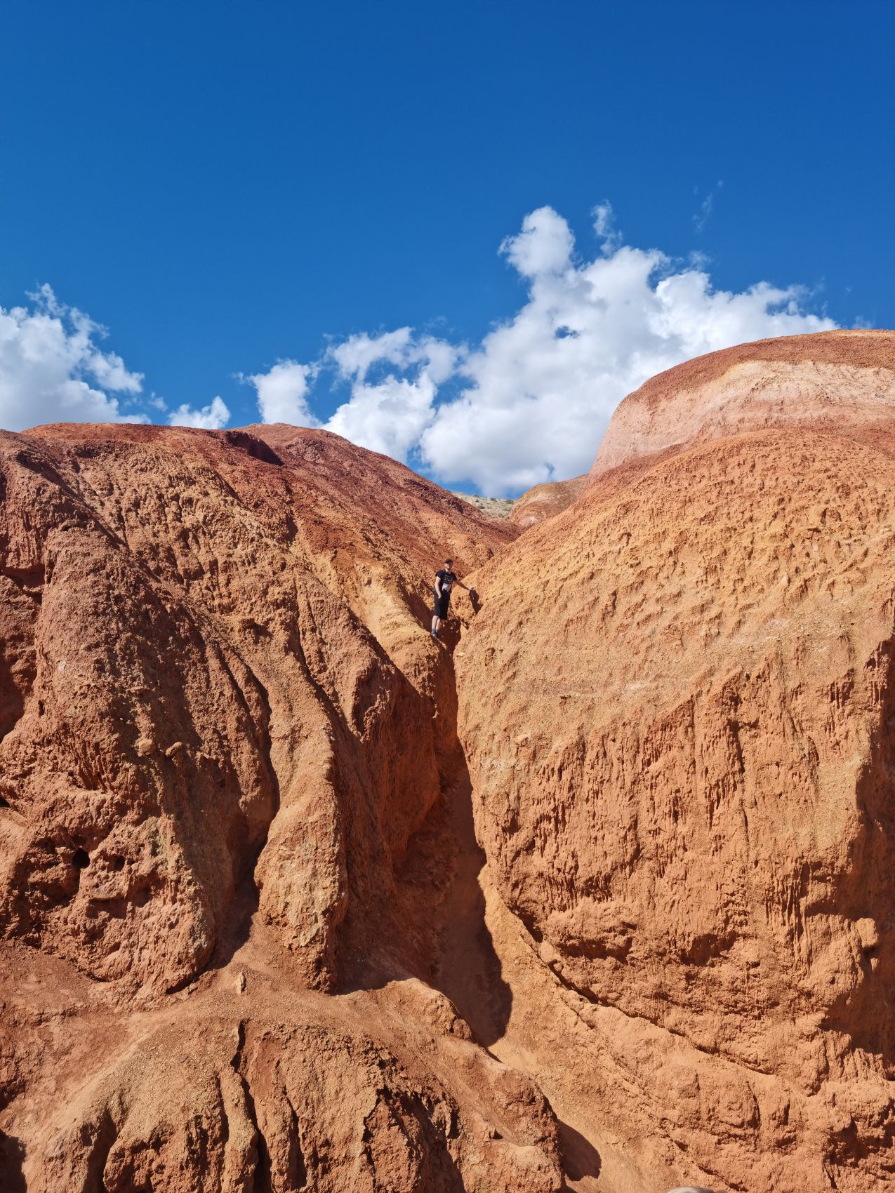 Увидеть Алтай за 5 дней! (26/51)