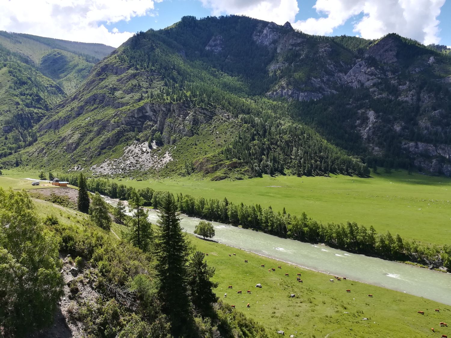 Увидеть Алтай за 5 дней! (10/51)