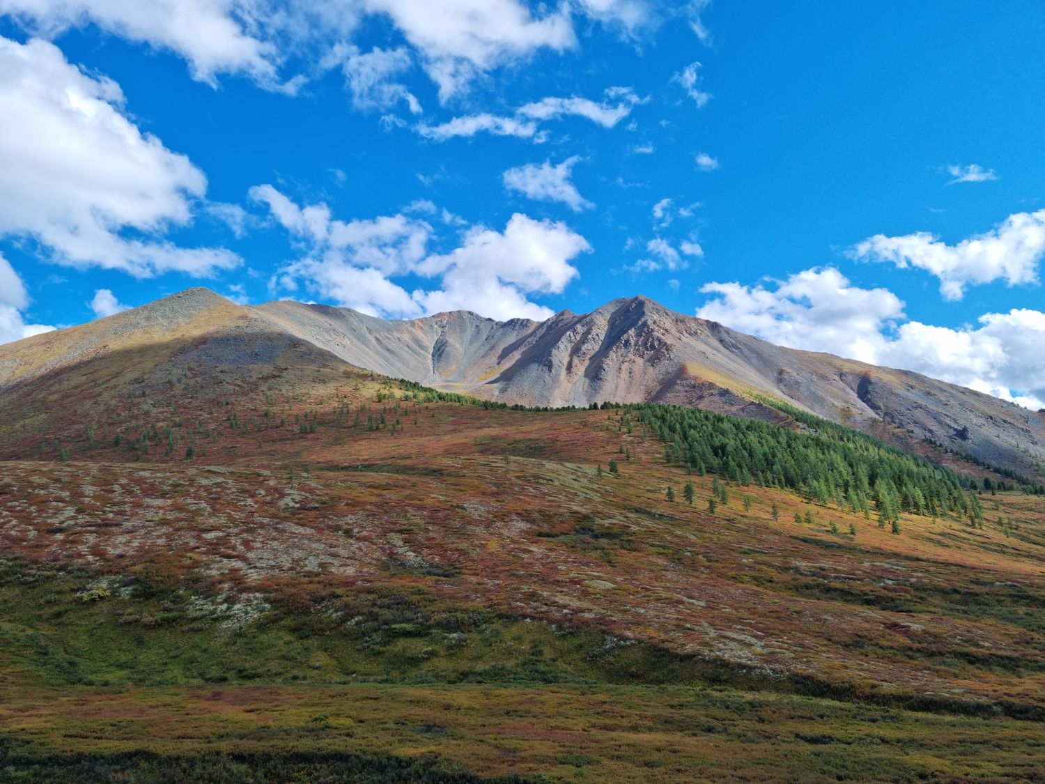 Увидеть Алтай за 5 дней! (28/51)
