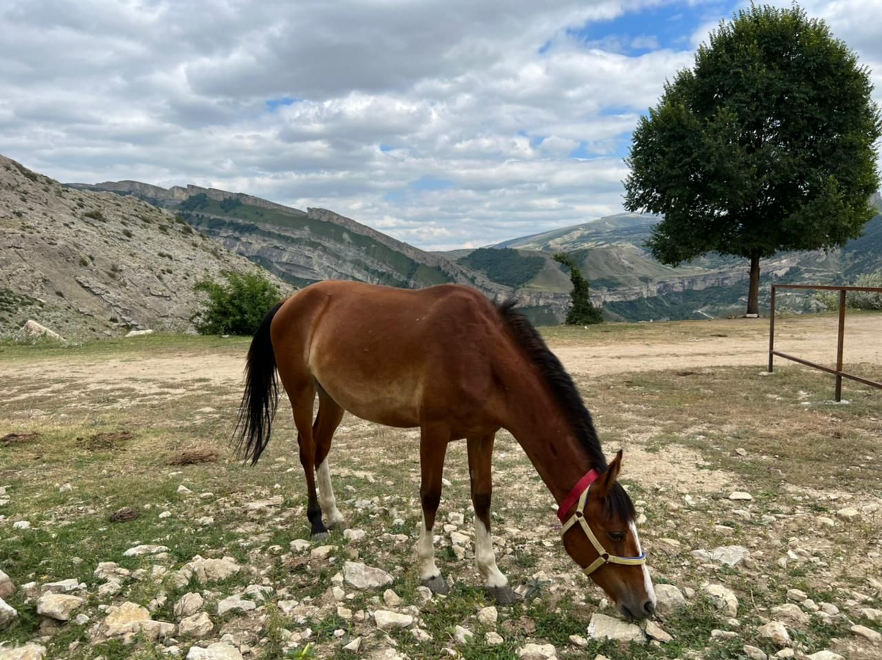5 ДНЕЙ В ДАГЕСТАНЕ С КОМФОРТОМ  »ВСЕ ВКЛЮЧЕНО« (10/26)