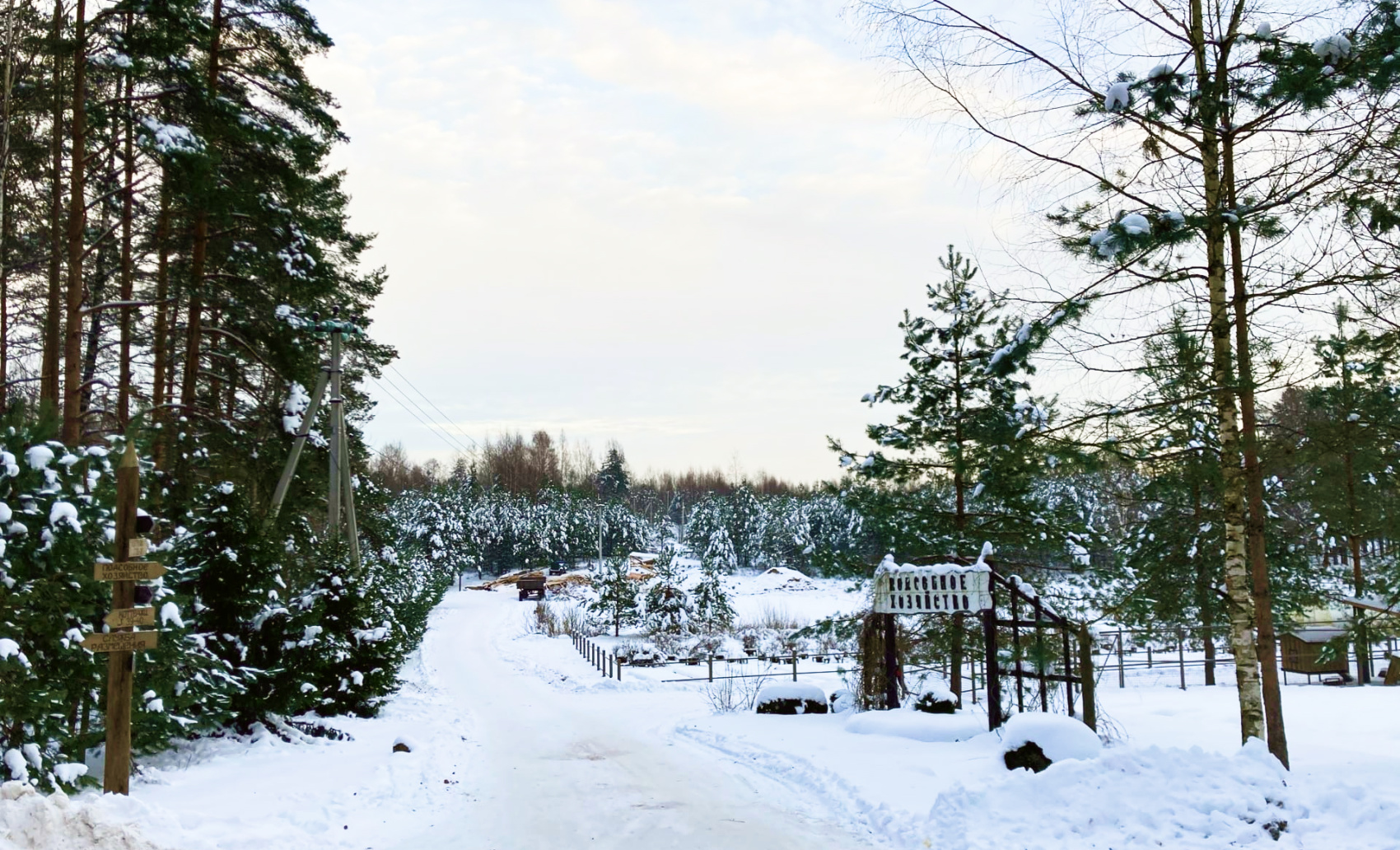 Валдай. Зима в Стране Див. Экспедиционный маршрут (2 дня / 1 ночь) (20/41)