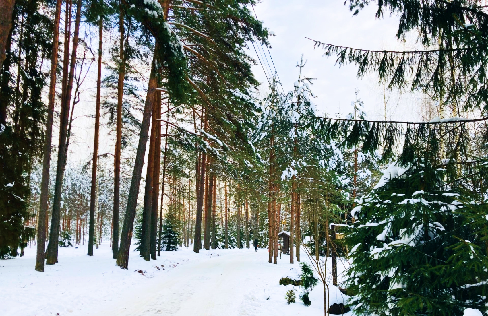 Валдай. Зима в Стране Див. Экспедиционный маршрут (2 дня / 1 ночь) (12/41)