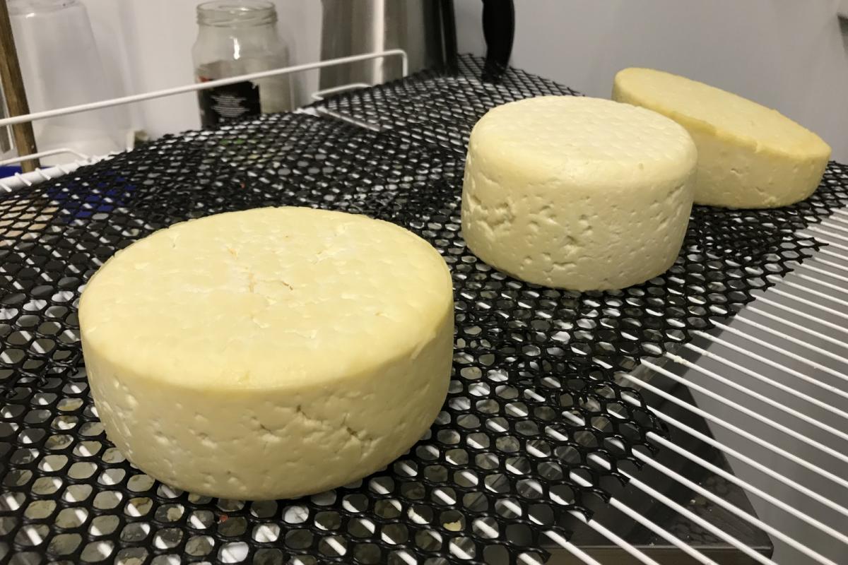 Валдай. Зима в Стране Див. Экспедиционный маршрут (2 дня / 1 ночь) (22/41)