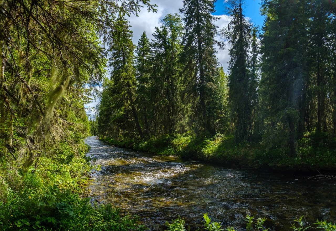 Поход на плато Маньпупунер через перевал Дятлова (16/51)