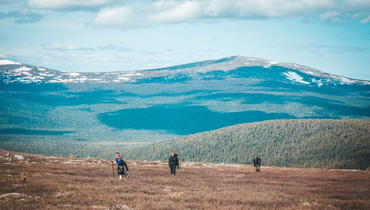 Поход на плато Маньпупунер через перевал Дятлова (17/51)