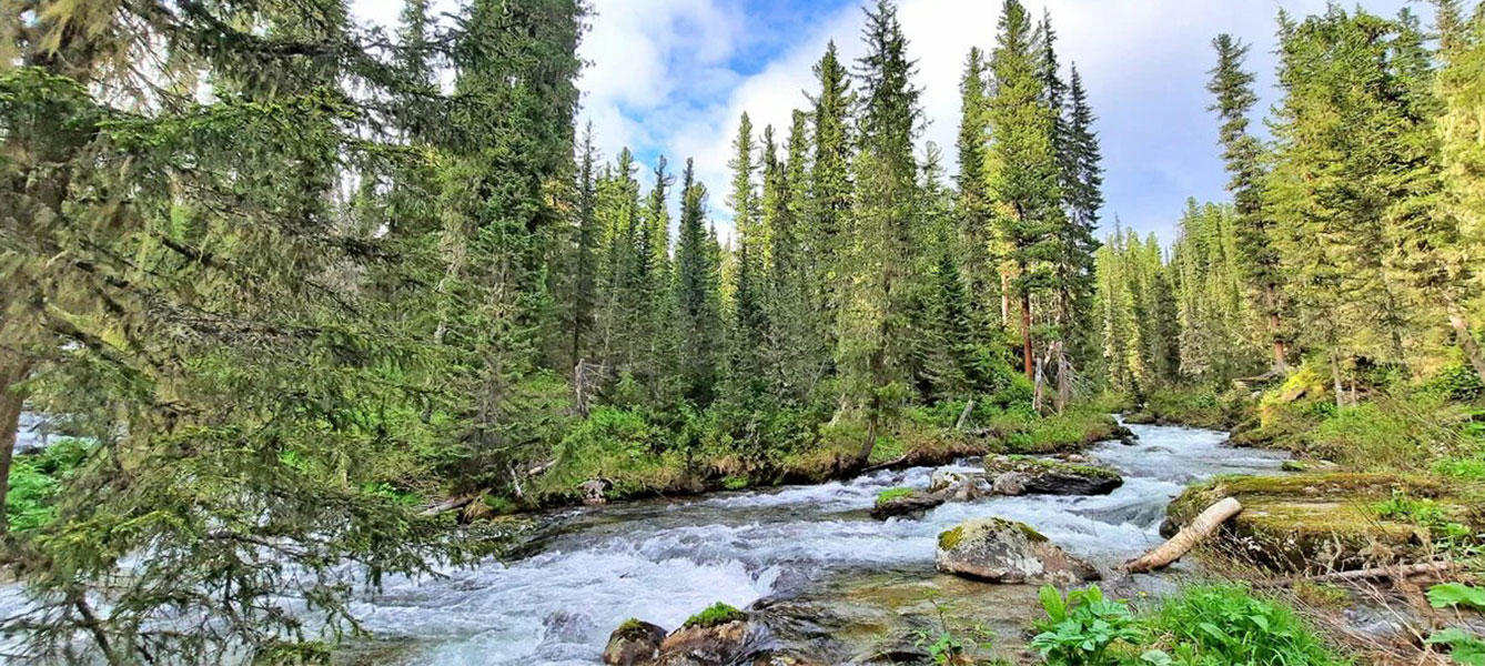 Треккинг в Ергаки (16/54)