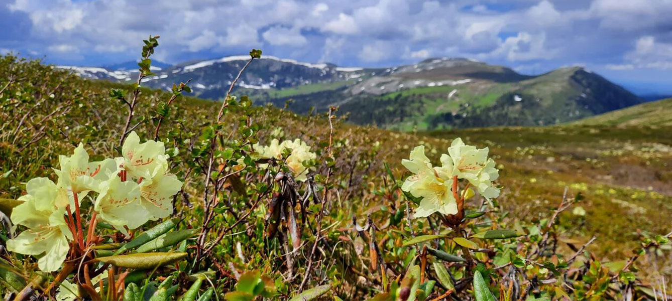 Треккинг в Ергаки (10/54)