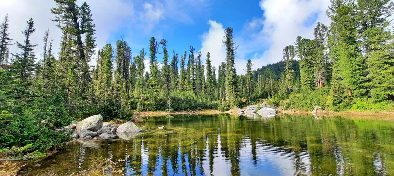 Треккинг в Ергаки (17/54)