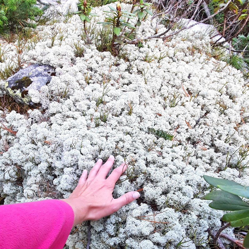 Треккинг в Ергаки (28/54)