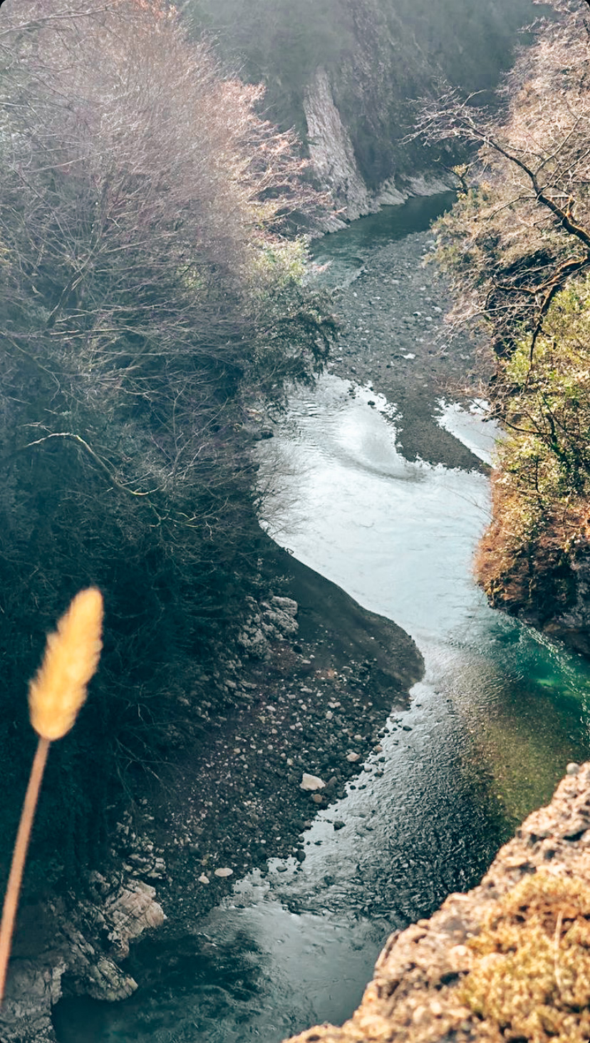 Вах! Легендарный джип-тур по-Абхазски + Малая Рица (39/137)