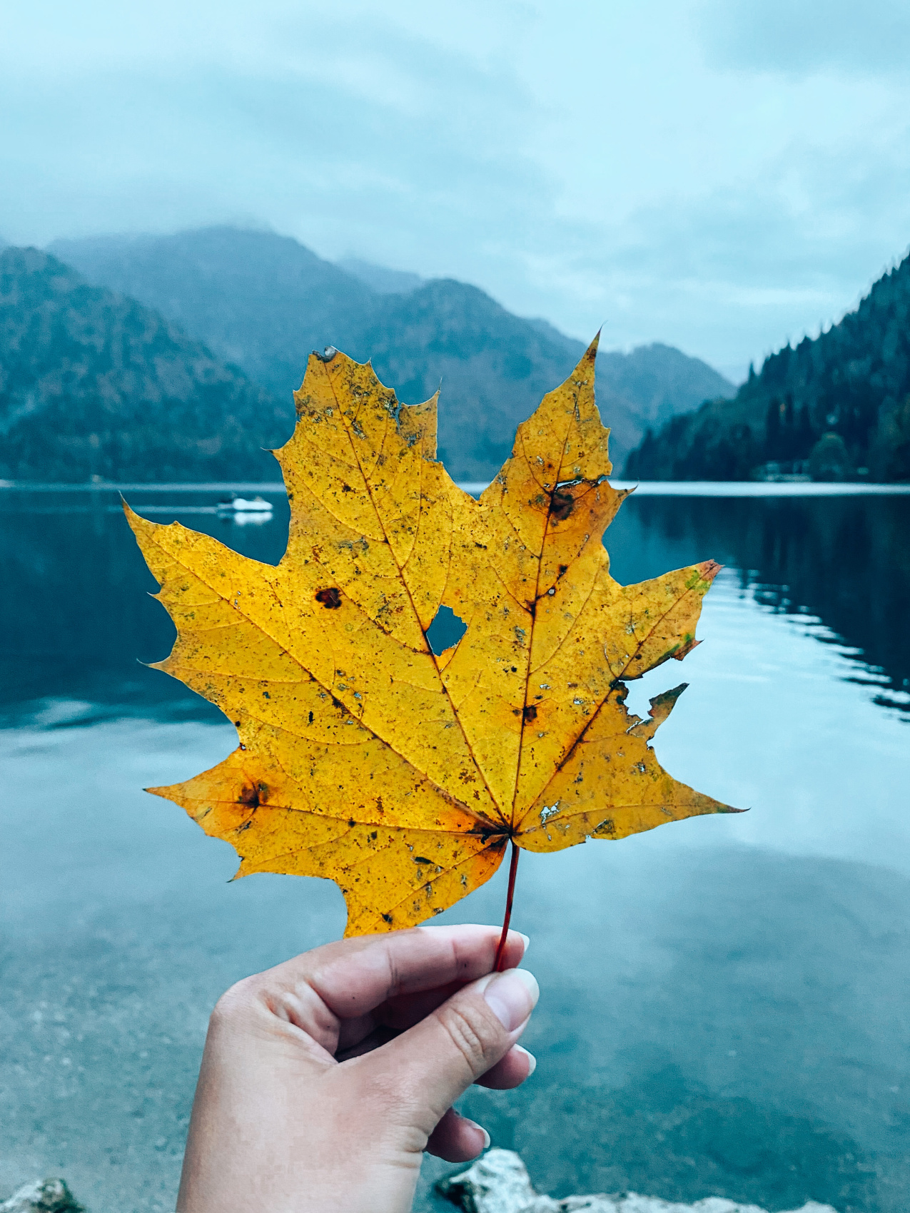 Вах! Легендарный джип-тур по-Абхазски + Малая Рица (75/137)