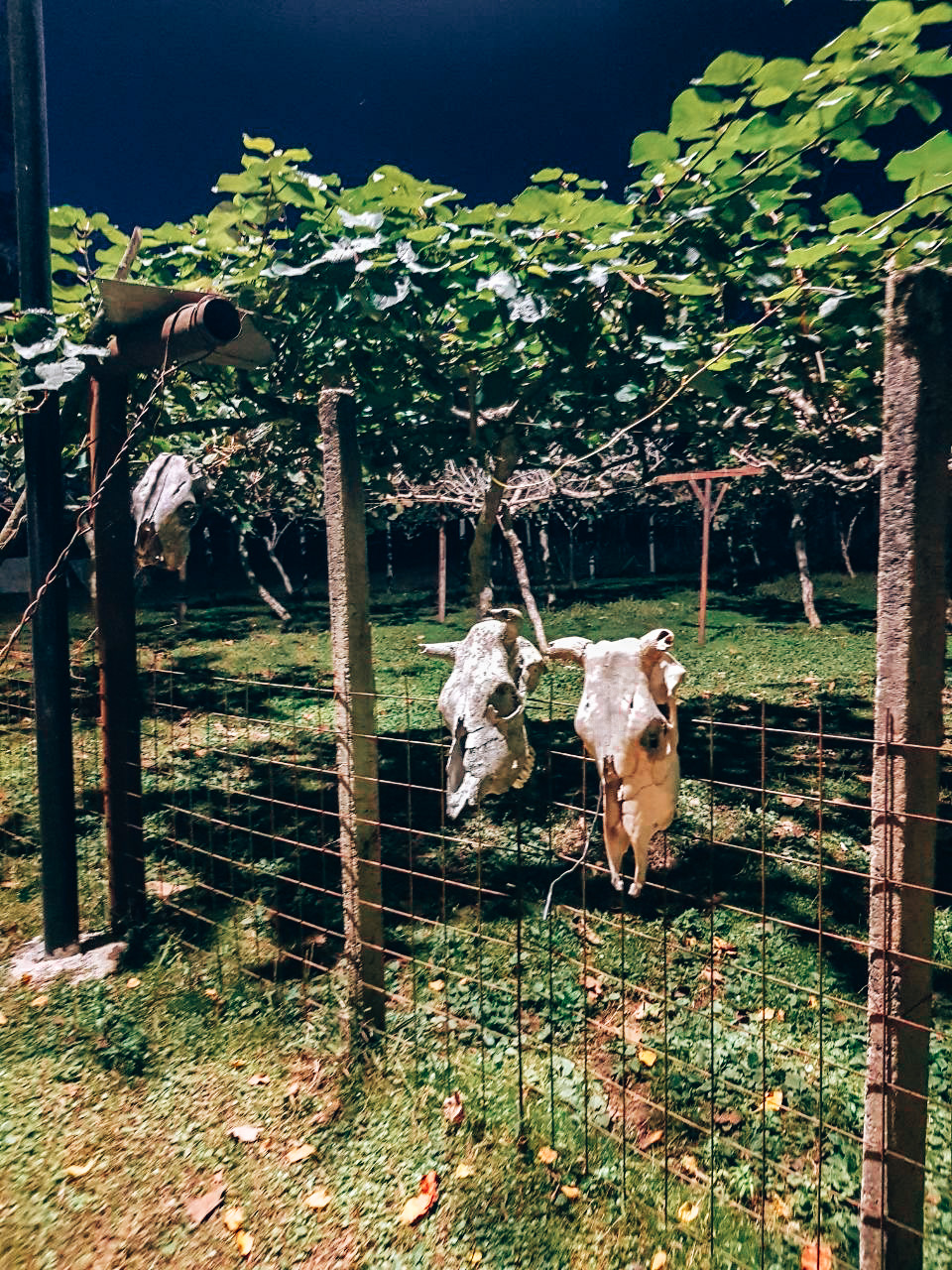 Вах! Высокогорная Абхазия 2.0 - авторский маршрут (22/99)