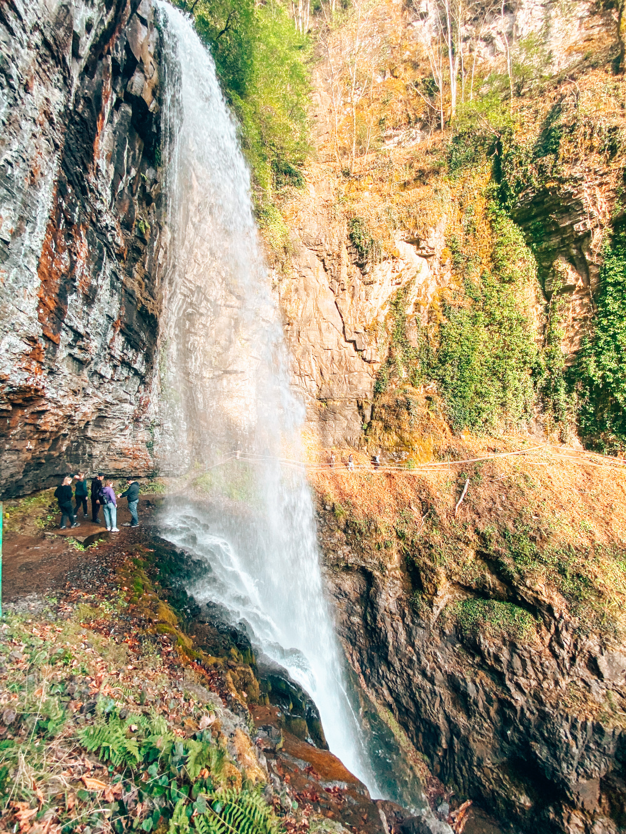 Вах! Легендарный джип-тур по-Абхазски + Малая Рица (31/137)