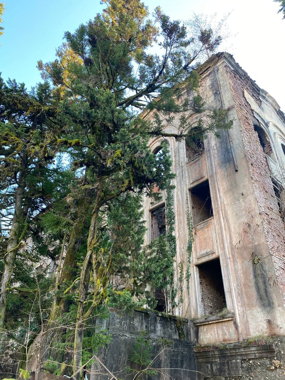 Вах! Легендарный джип-тур по-Абхазски + Малая Рица (25/137)