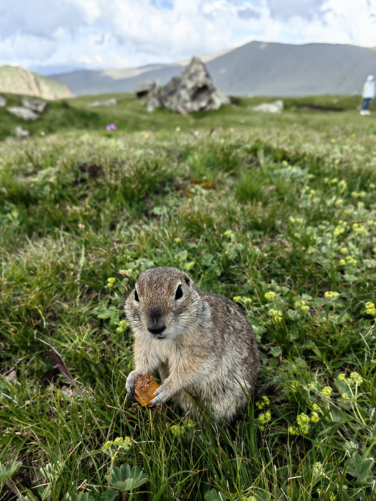 Прогулки по Приэльбрусью с комфортом в малой группе. (22/46)