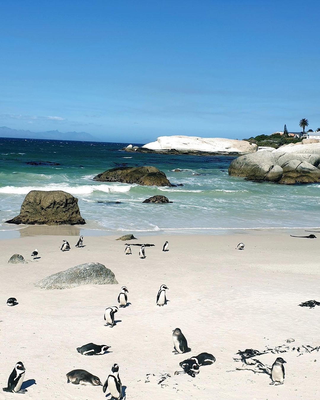 Юар. Водопад. Ботсвана (5/60)