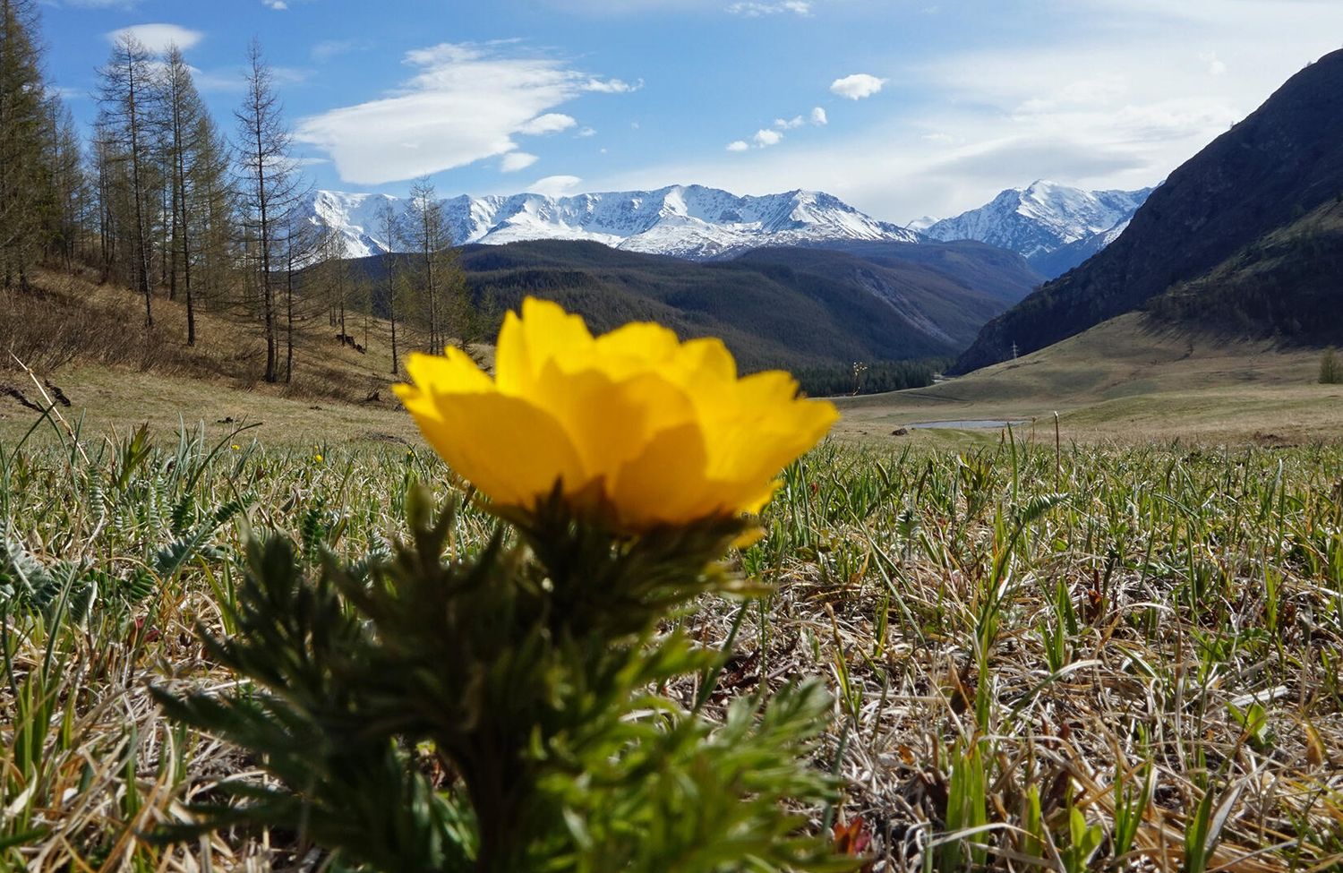 Золотой Алтай, кольцевой тур через Телецкое озеро (8/42)