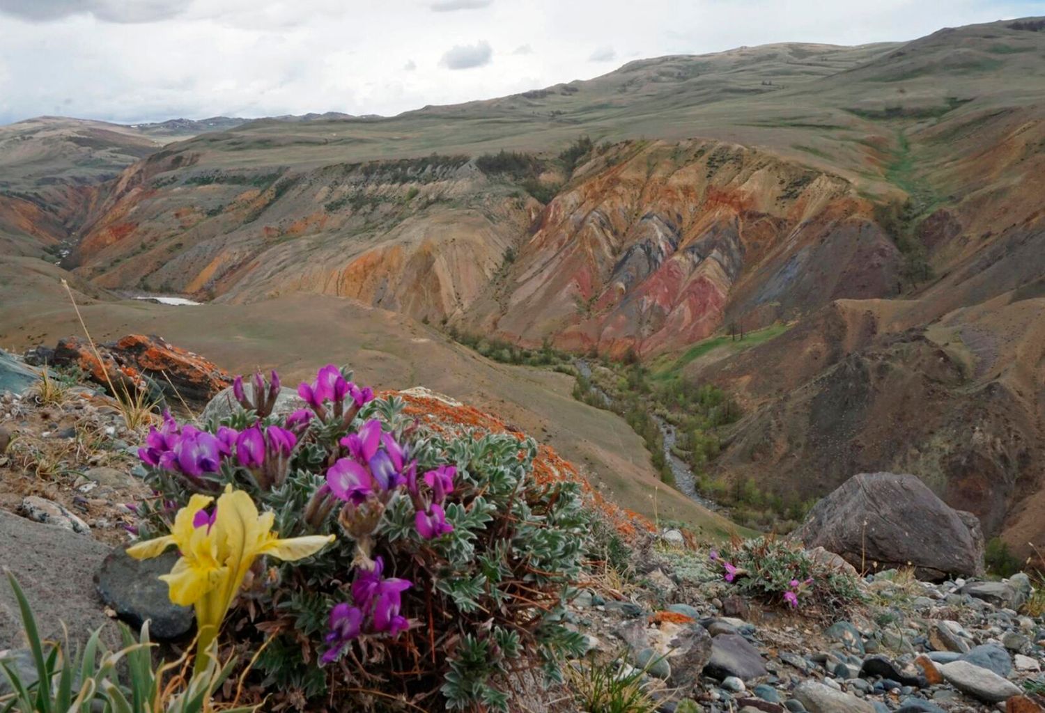 Золотой Алтай, кольцевой тур через Телецкое озеро (2/42)