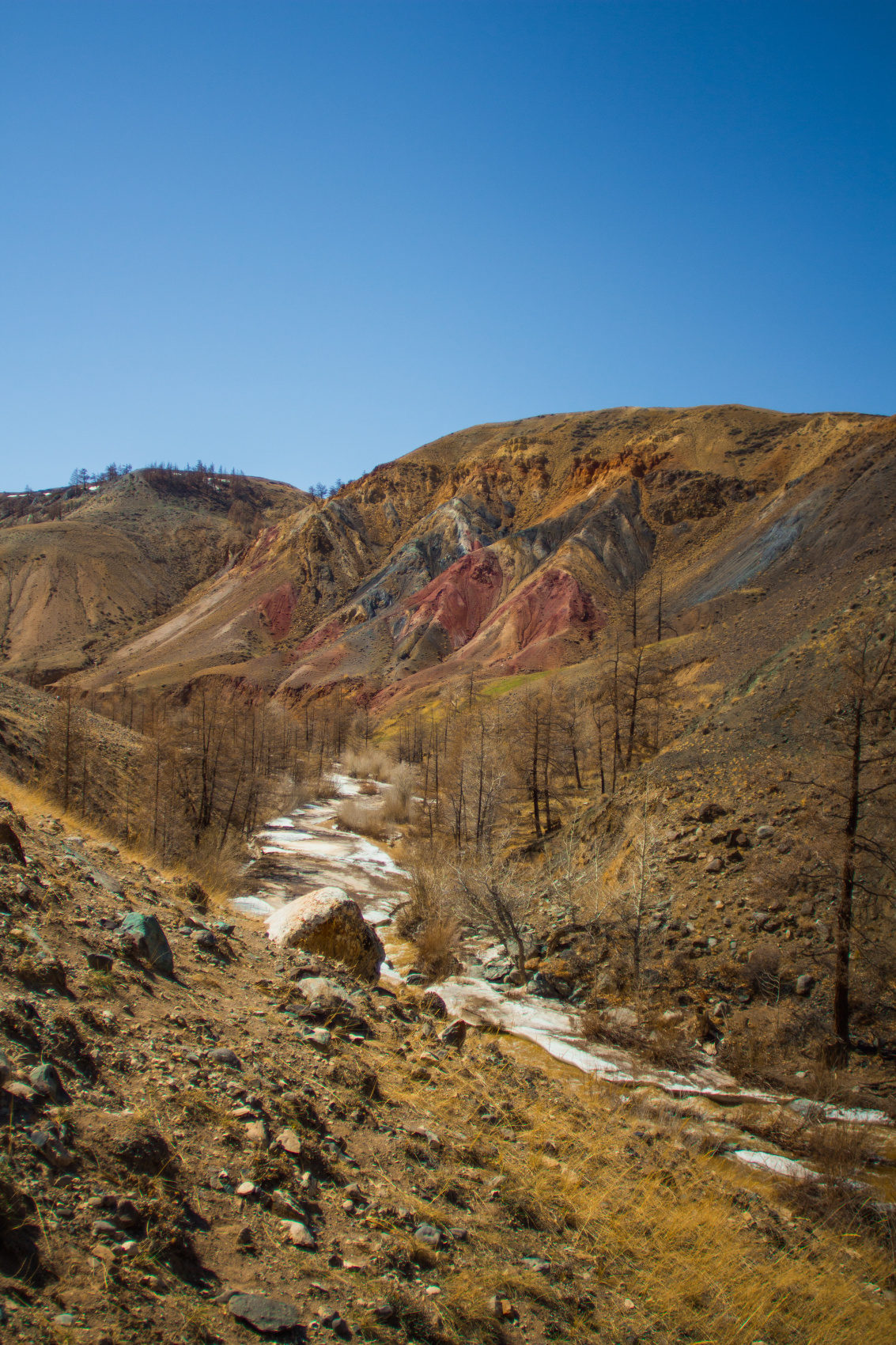 Весенний Алтай. Когда цветёт Маральник / 6 дней (11/45)