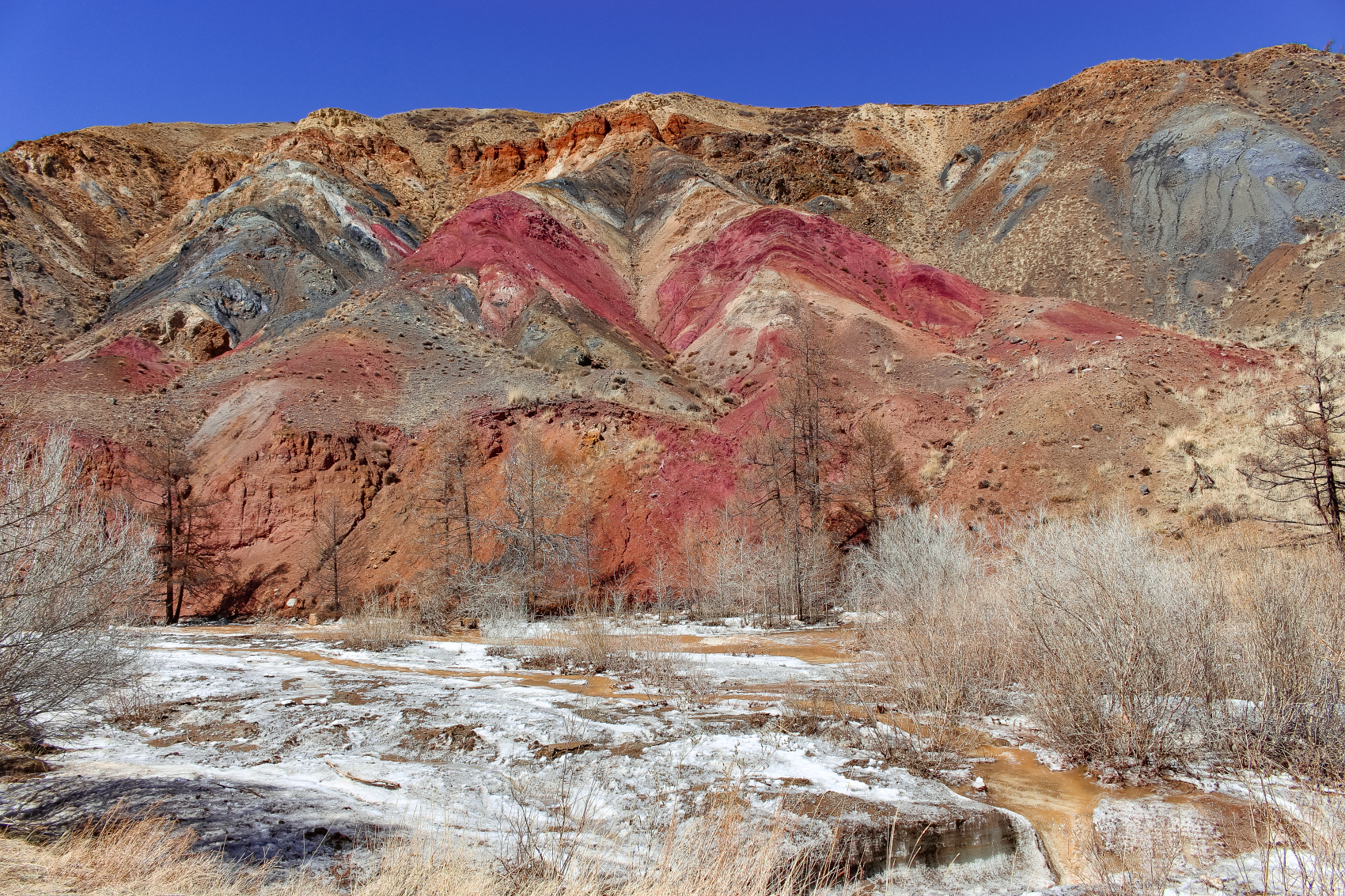 Весенний Алтай. Когда цветёт Маральник / 6 дней (17/45)