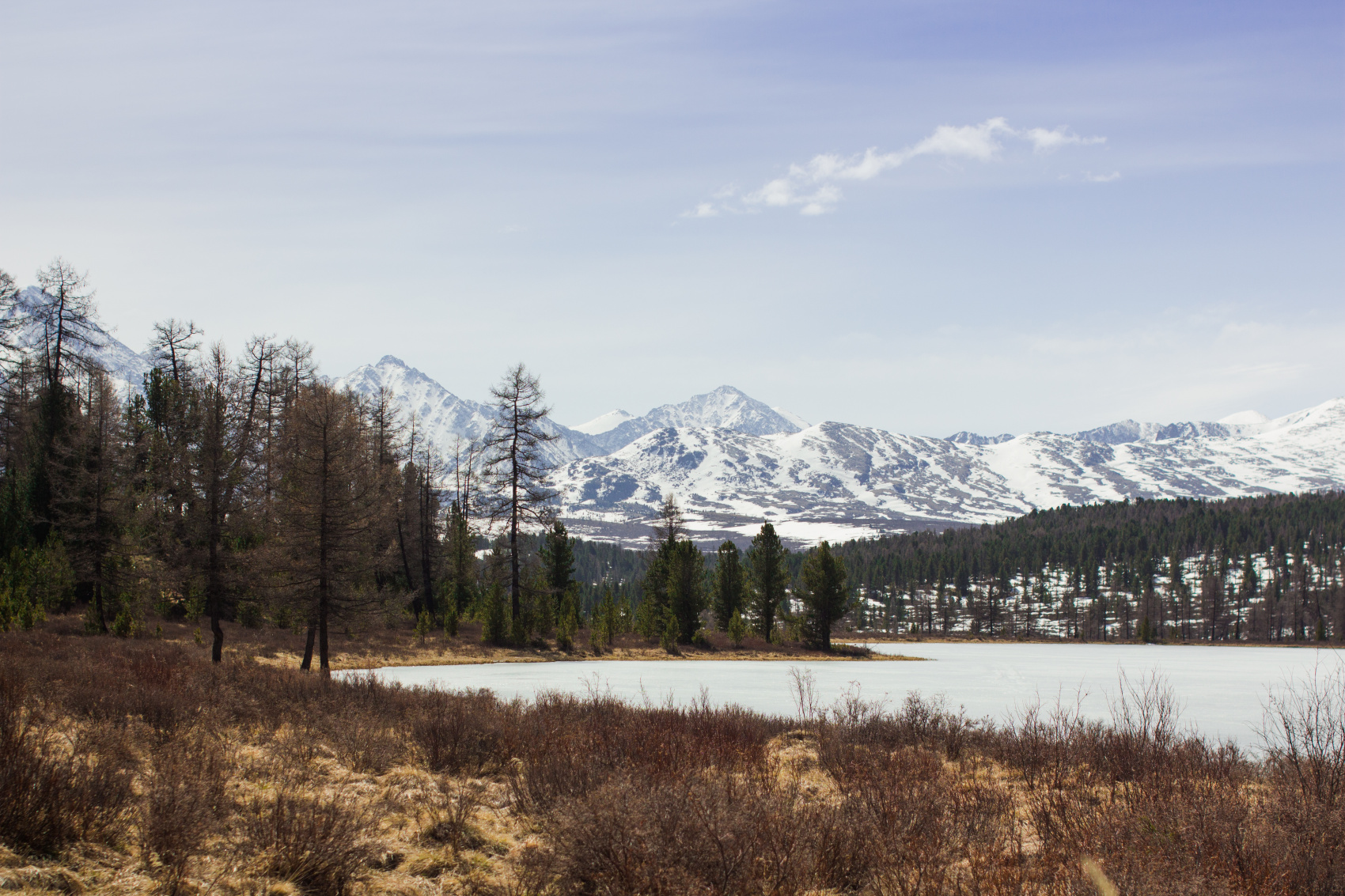 Весенний Алтай. Когда цветёт Маральник / 6 дней (10/45)