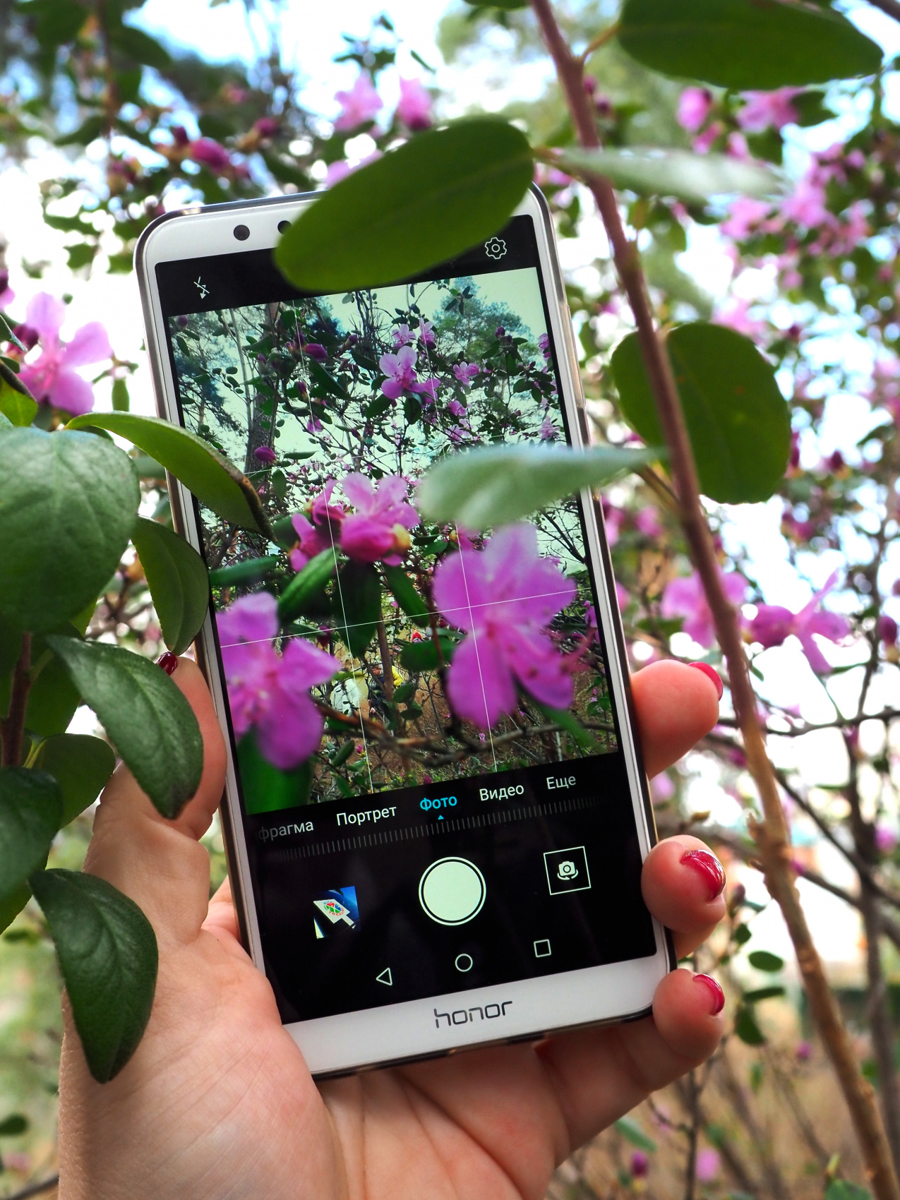 Весенний Алтай. Когда цветёт Маральник / 6 дней (21/45)