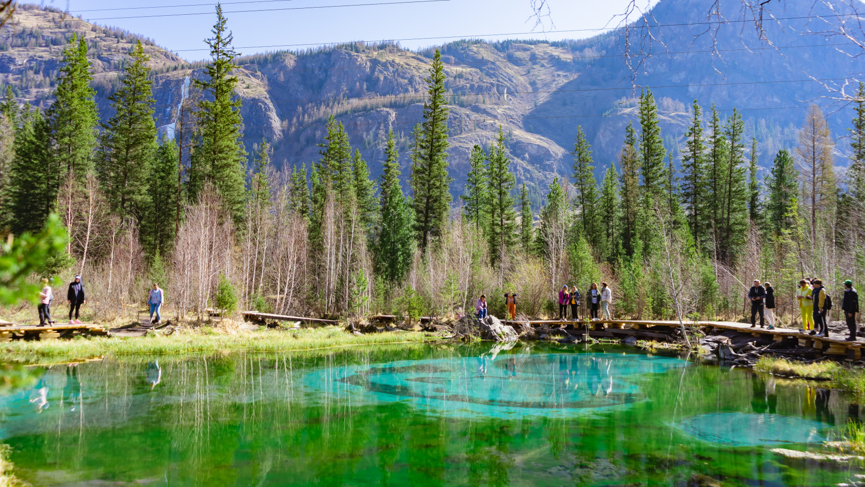 Весенний Алтай. Когда цветёт Маральник / 6 дней (18/45)