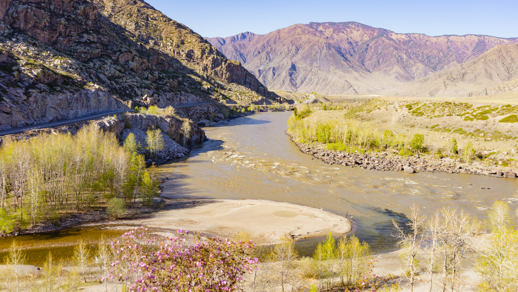 Весенний Алтай. Когда цветёт Маральник / 6 дней (13/45)