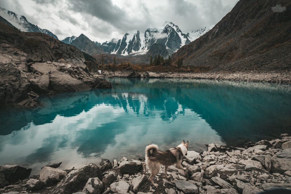 Сокровище Горного Алтая — поход к Шавлинским озёрам (4/40)