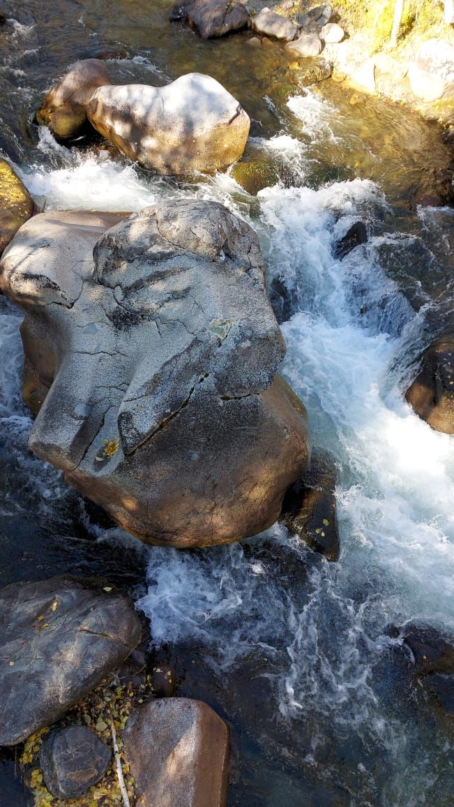 Пантовые ванны (5/38)