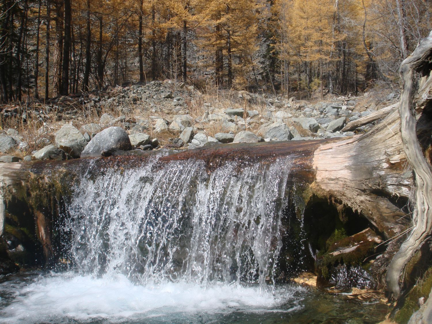 Пантовые ванны (10/38)