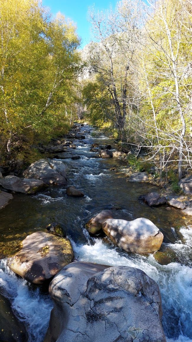 Пантовые ванны (4/38)