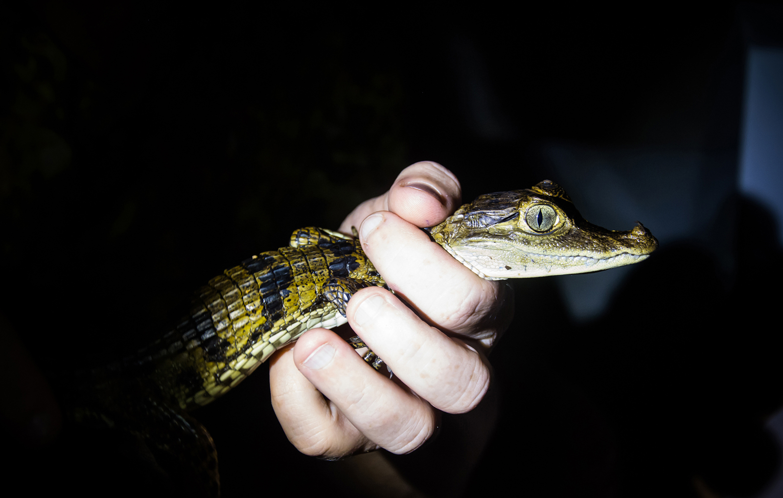 Вместе на карнавал в Бразилию(уже включены перелеты по программе!) (28/67)