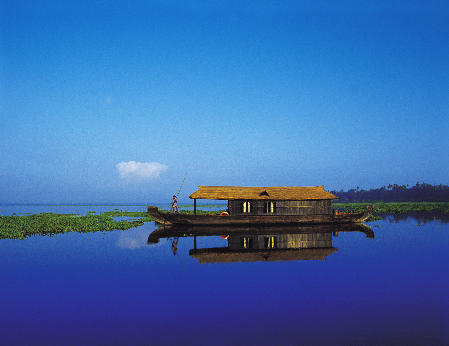 Специи Треккинг Керала (16/21)