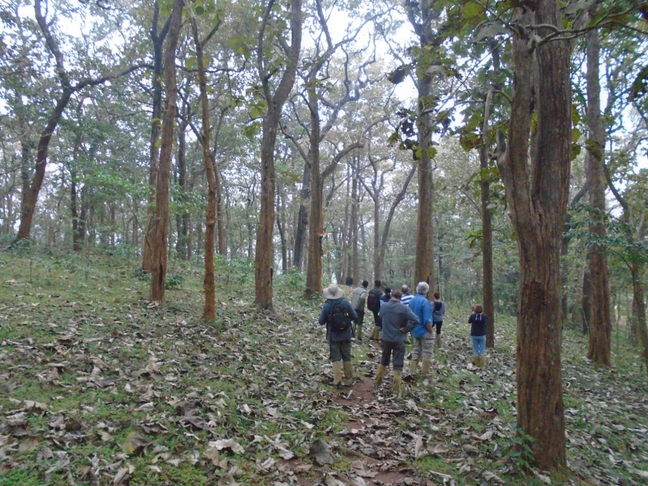 Специи Треккинг Керала (19/21)