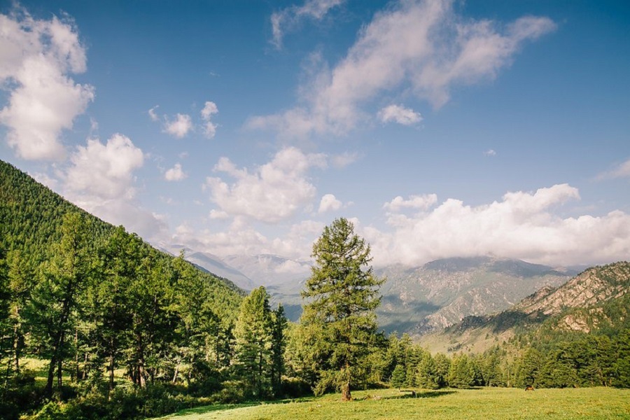 Поход к горе Белуха — через перевал Кара-Тюрек (12/43)