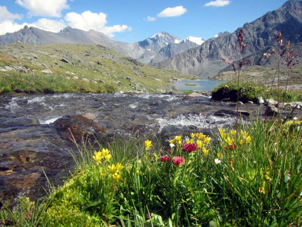 Поход к горе Белуха — через перевал Кара-Тюрек (5/43)