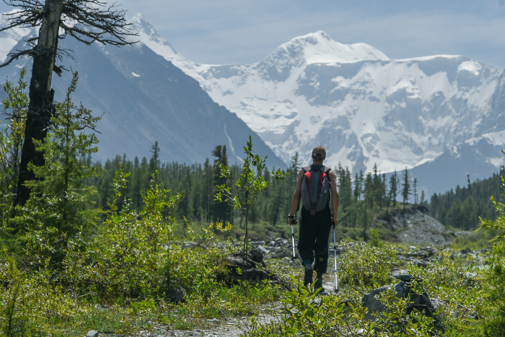 Треккинг к базовому лагерю Белухи (28/78)