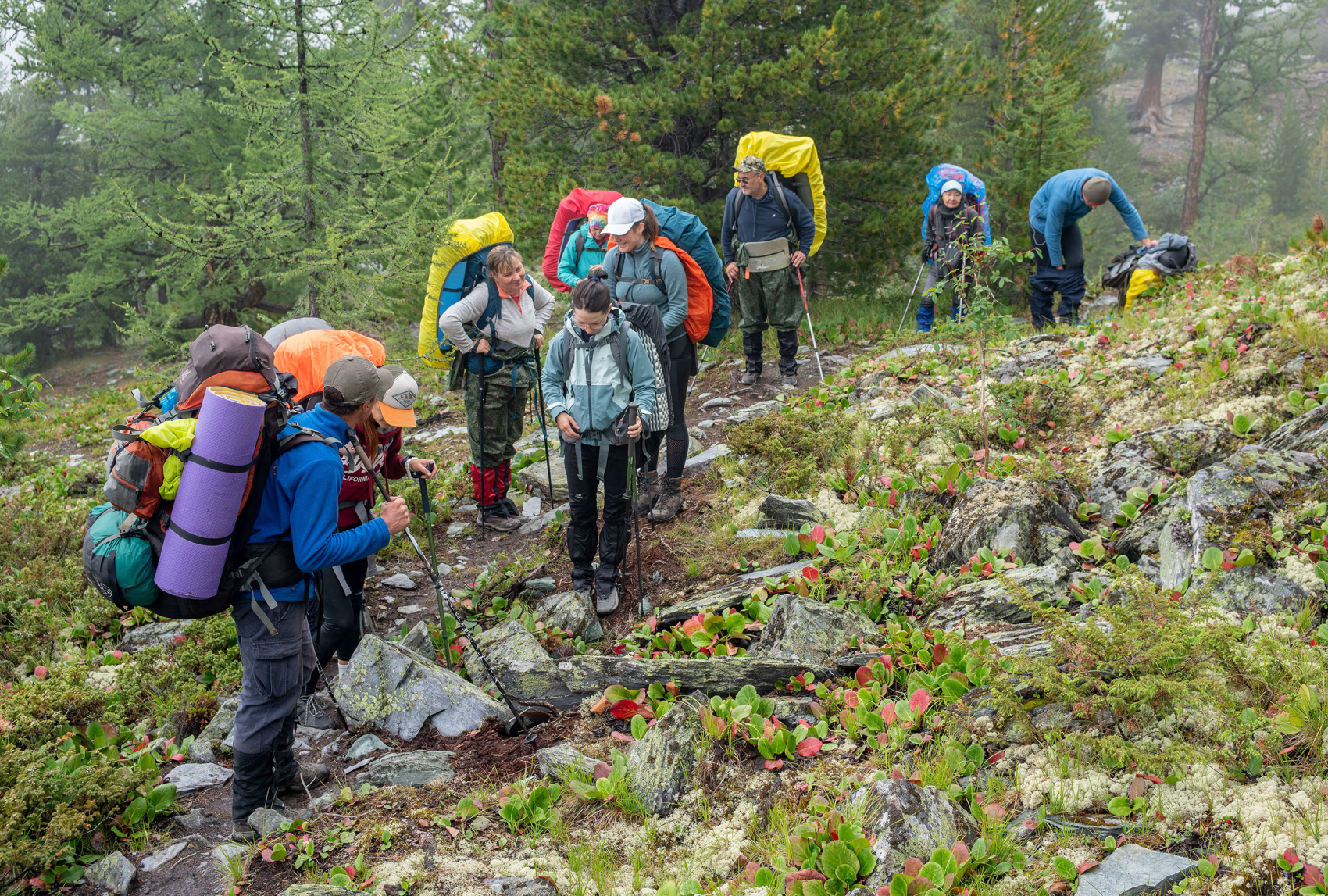 Треккинг к базовому лагерю Белухи (7/78)