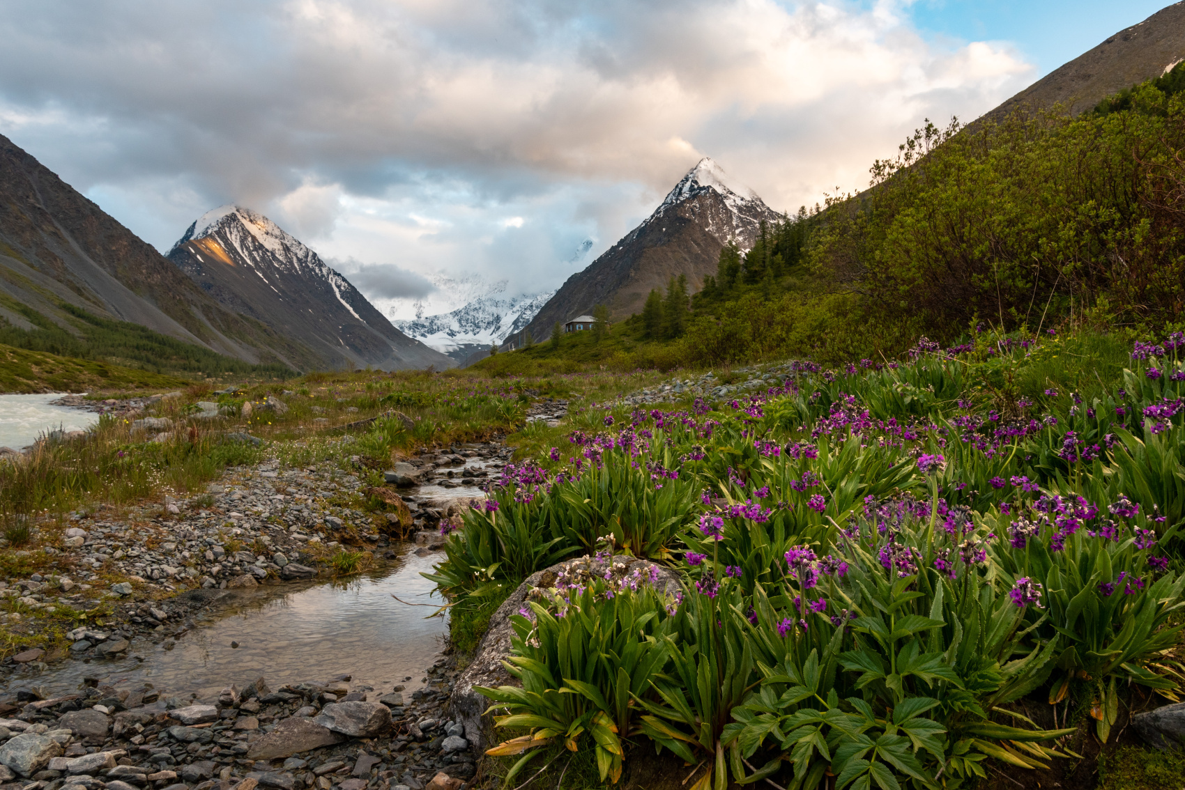 Треккинг к базовому лагерю Белухи (24/78)