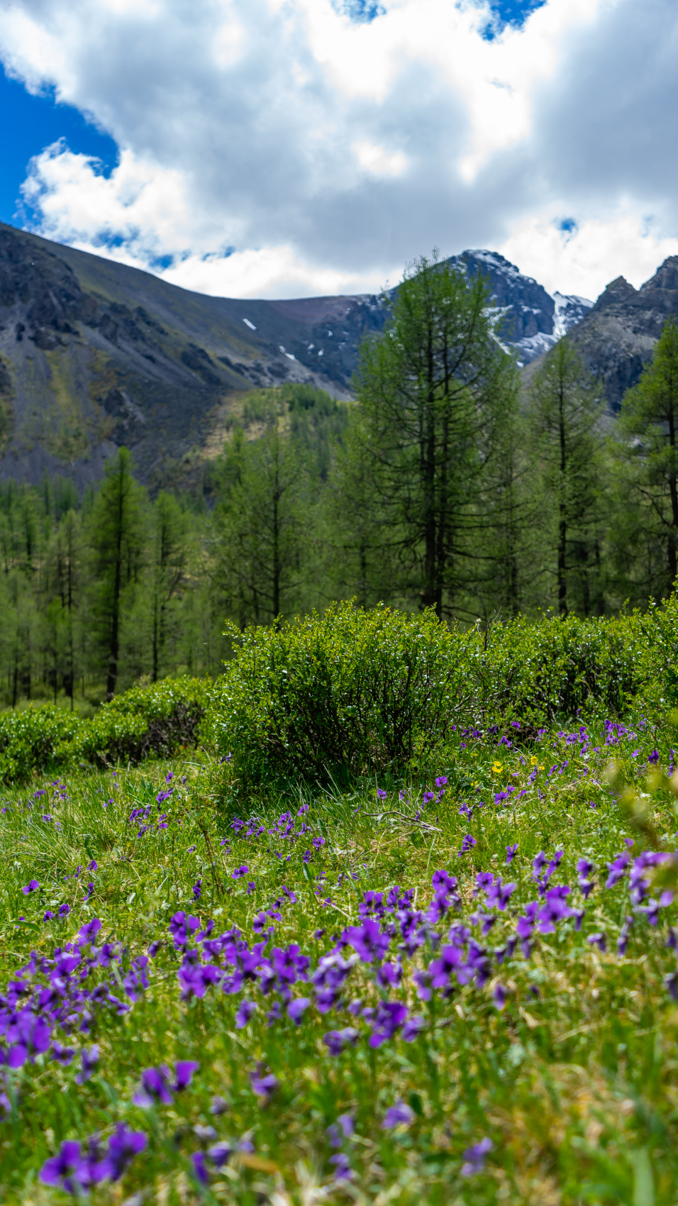 Треккинг в долину Маашей и озерам Каракабак (18/76)