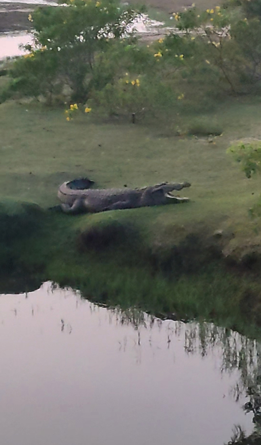 Шри-Ланка: Тур-Приключение Must-Visit (33/82)