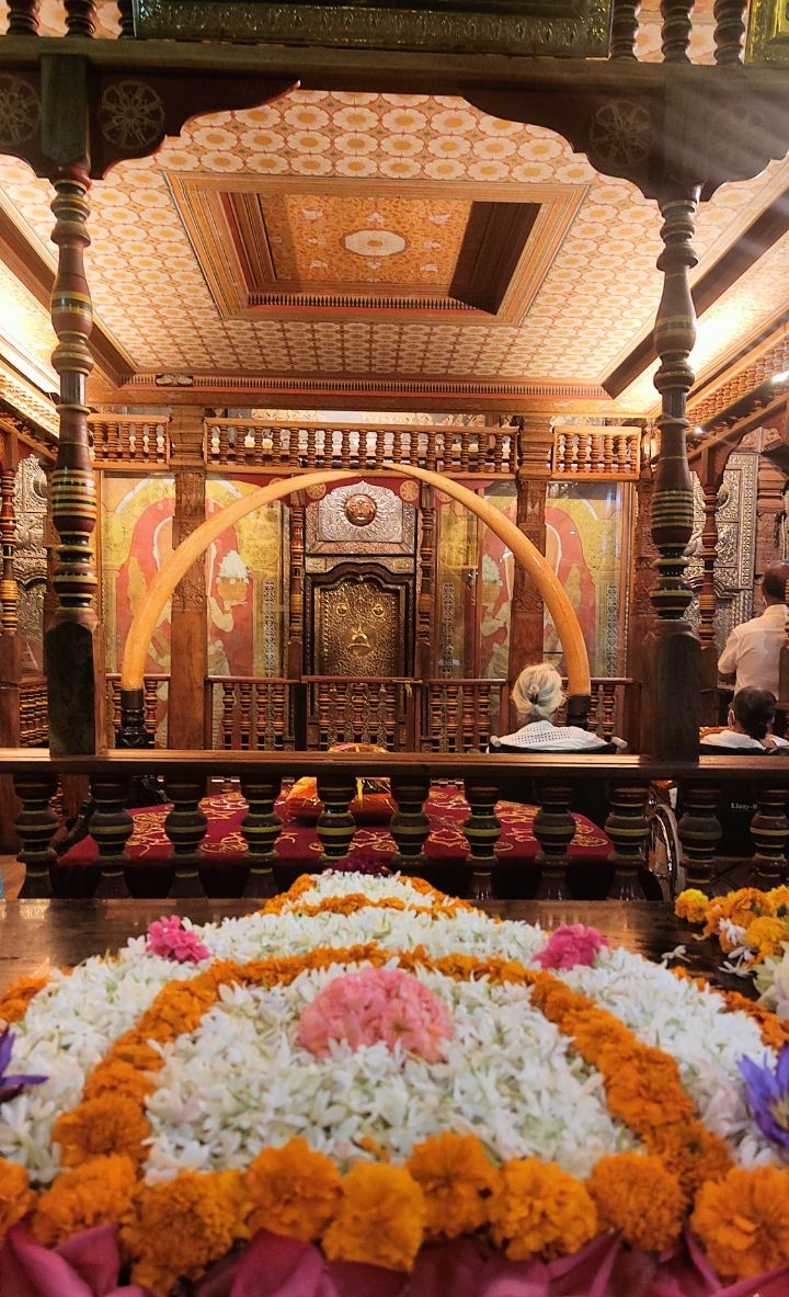 Шри-Ланка: Тур-Приключение Must-Visit (7/82)