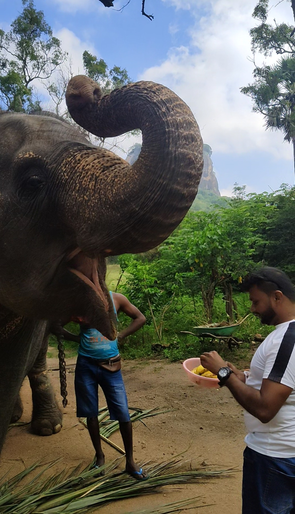 Шри-Ланка: Тур-Приключение Must-Visit (36/82)